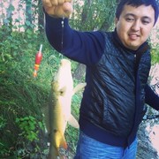 ���������� ��������, ���� ������� ������, 41 ���, ������������ ��� ������