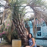 ���������� ������ ��������, ���� ������� �����, 52 ����, ������������ ��� ������, ����� � ���������, c�������� ���������