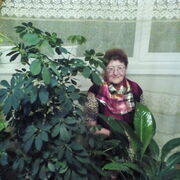 ���������� ���������, ���� ������� ������, 74 ����, ������������ ��� ���������