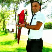  ,   Caner, 38 ,   ,   