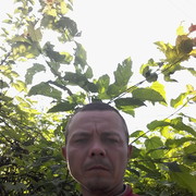  ,   , 43 ,     , c 