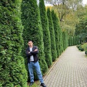 ���������� �����������, ���� ������� ���������, 39 ���, ������������ ��� ������, ����� � ���������