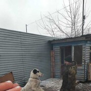  ,   , 48 ,   