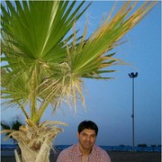  Algiers,  djamel, 55