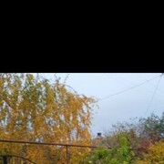 ���������� ���������, ���� ������� Svetlana, 46 ���, ������������ ��� ������