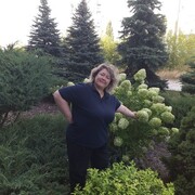  ,   IRISKA, 53 ,     , c 