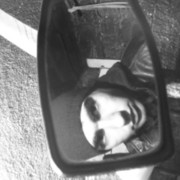  ,   Dima, 33 ,   