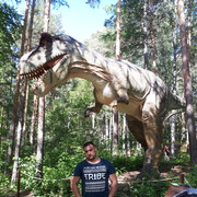 ���������� �����������, ���� ������� ������, 40 ���, ������������ ��� ������, ����� � ���������, c�������� ���������