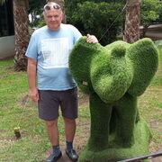 ���������� �����-���������, ���� ������� ���������, 65 ���, ������������ ��� c�������� ���������