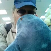 ���������� �������, ���� ������� �������, 54 ����, ������������ ��� c�������� ���������