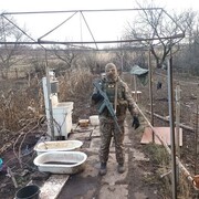 ���������� ������-��-����, ���� ������� �������, 33 ����, ������������ ��� c�������� ���������