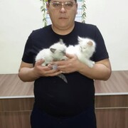  ,   , 43 ,   ,   , c , 