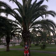 ���������� �����, ���� ������� ����, 26 ���, ������������ ��� ������, ����� � ���������