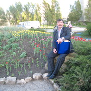  ,   , 55 ,  