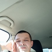  ,   Vitek, 44 ,   ,   , c 