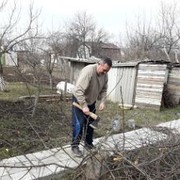  ,   , 56 ,     , c 