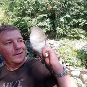  -,   , 43 ,     , c , 