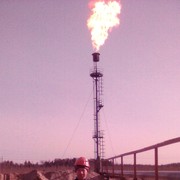 ���������� ������, ���� ������� ���������, 43 ����, ������������ 