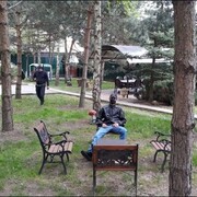 ���������� ��������, ���� ������� ���, 30 ���, ������������ ��� ������, ����� � ���������, c�������� ���������, ���������