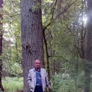 ,   , 65 ,   