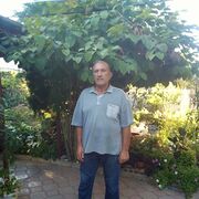 -,   , 65 ,   c 