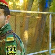 ���������� ����, ���� ������� Emil, 35 ���, ������������ ��� ������