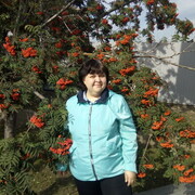 ���������� ����������, ���� ������� ��������, 48 ���, ������������ ��� c�������� ���������, ���������