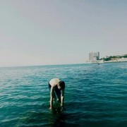 ���������� ������, ���� ������� Mayis, 40 ���, ������������ ��� ����� � ���������, c�������� ���������