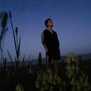 ���������� ������ ��������, ���� ����� ��, 20 ���, ������������ ��� ������, ����� � ���������, c�������� ���������, ���������