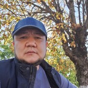  ,   UZB, 43 ,   ,   , c 