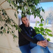 ���������� ������, ���� ������� �������, 38 ���, ������������ ��� ������, ����� � ���������, c�������� ���������