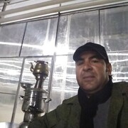  ,   Elman, 39 ,   ,   