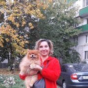 ���������� ����, ���� ������� ��������, 50 ���, ������������ ��� ���������