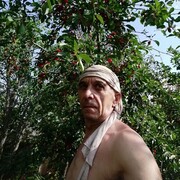  ,   , 62 ,   ,   , 