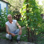  ,   , 65 ,  
