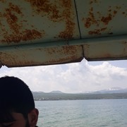  ,   Arman, 31 ,   