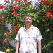  Midlum,  , 73
