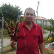  ,   , 61 ,   