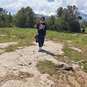 ���������� �����������, ����