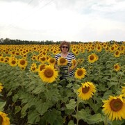  ,   , 56 ,   c 
