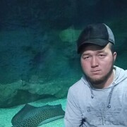 ���������� �����������, ���� ������� ���, 27 ���, ������������ ��� ������, ����� � ���������, c�������� ���������