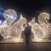 ���������� �����������, ���� ������� ����, 35 ���, ������������ ��� c�������� ���������, ���������