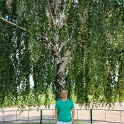 ���������� ����������, ���� ������� ���������, 50 ���, ������������ ��� ������, ����� � ���������, c�������� ���������