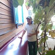  ,   , 62 ,   ,   