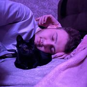 ���������� �������, ���� ����� ����, 24 ����, ������������ ��� ������