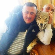  ,   Rufet, 46 ,   