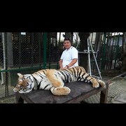  ,   MIRAS, 38 ,   ,   , c 