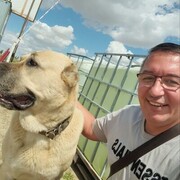 ���������� ������-��-����, ���� ������� �������, 46 ���, ������������ ��� ������, ����� � ���������