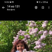 ���������� ������, ���� ������� �������, 61 ���, ������������ ��� c�������� ���������