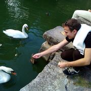 ���������� ����, ���� ������� �����, 36 ���, ������������ ��� ������, ����� � ���������, c�������� ���������, ���������